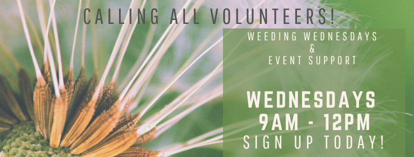 Weeding%20Banner%20USE%20.png